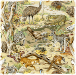 Nutex Aussie Animals